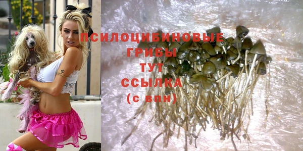 трава Магас