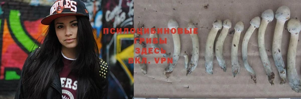 винт Медногорск