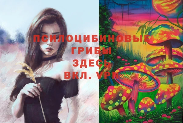 трава Магас