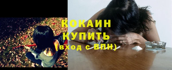 трава Магас