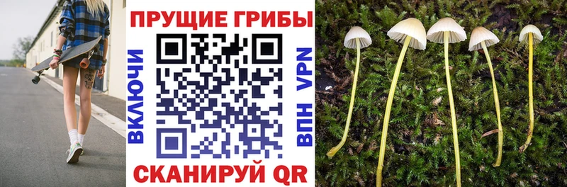 Купить закладки  Байкальск  Галлюциногенные грибы мицелий 